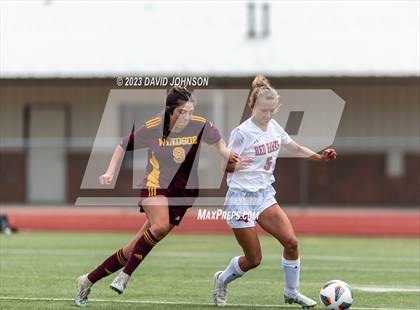 Thumbnail 2 in Montrose @ Windsor (CHSAA 4A Round 2) photogallery.