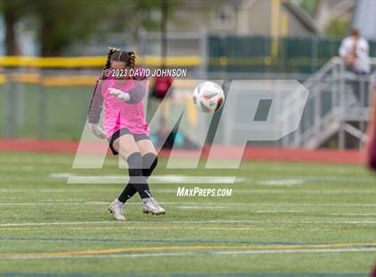 Thumbnail 1 in Montrose @ Windsor (CHSAA 4A Round 2) photogallery.