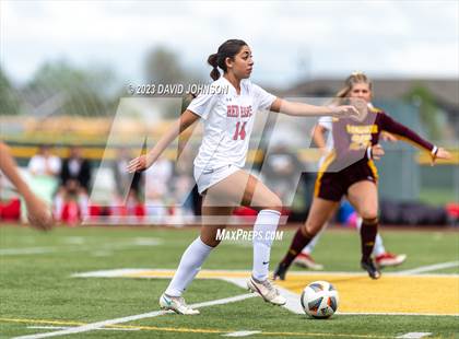 Thumbnail 1 in Montrose @ Windsor (CHSAA 4A Round 2) photogallery.
