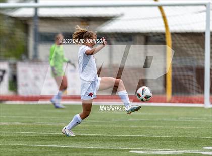 Thumbnail 1 in Montrose @ Windsor (CHSAA 4A Round 2) photogallery.