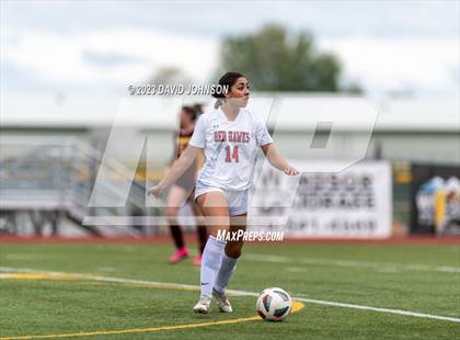 Thumbnail 3 in Montrose @ Windsor (CHSAA 4A Round 2) photogallery.