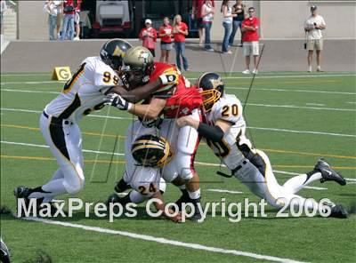 null - Photo 11