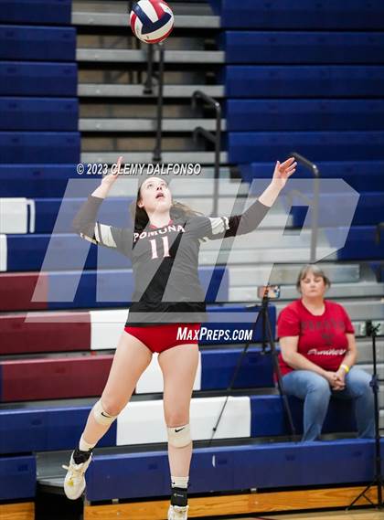 Thumbnail 2 in Bear Creek vs Pomona (Dakota Ridge Varsity Tournament) photogallery.