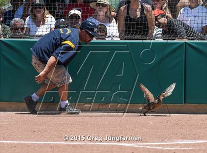 Thumbnail 3 in Redwood @ Alhambra (CIF NCS D2 Final) photogallery.