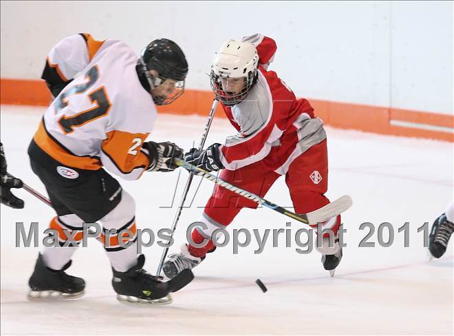 null - Photo 11
