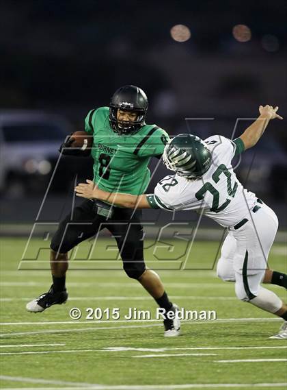 Thumbnail 3 in Taylor @ Burnet photogallery.