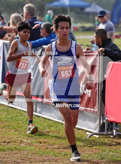 Thumbnail 3 in CIF Central Section Cross Country Championships (Boys D4 Race) photogallery.