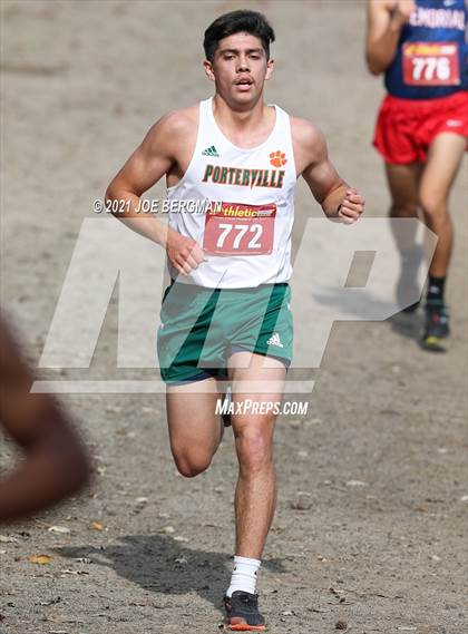 Thumbnail 1 in CIF Central Section Cross Country Championships (Boys D4 Race) photogallery.