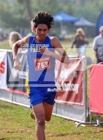 Thumbnail 1 in CIF Central Section Cross Country Championships (Boys D4 Race) photogallery.
