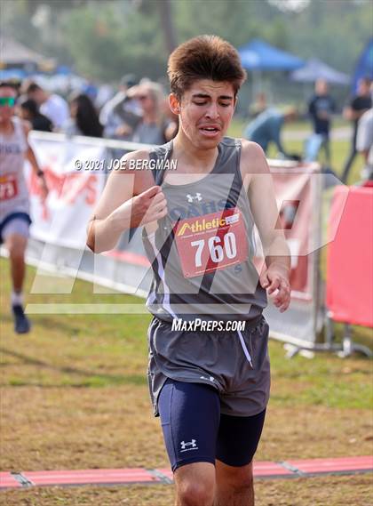 Thumbnail 2 in CIF Central Section Cross Country Championships (Boys D4 Race) photogallery.