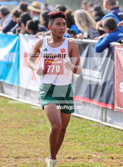 Thumbnail 2 in CIF Central Section Cross Country Championships (Boys D4 Race) photogallery.
