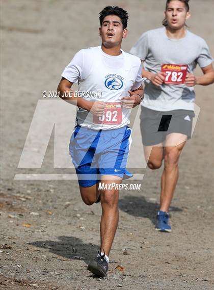 Thumbnail 1 in CIF Central Section Cross Country Championships (Boys D4 Race) photogallery.