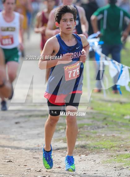 Thumbnail 1 in CIF Central Section Cross Country Championships (Boys D4 Race) photogallery.