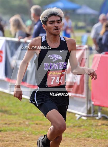 Thumbnail 1 in CIF Central Section Cross Country Championships (Boys D4 Race) photogallery.