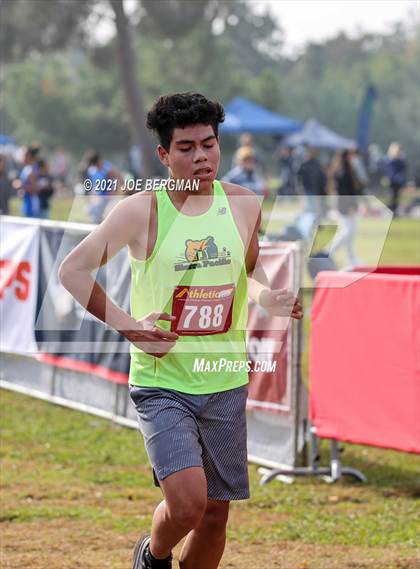 Thumbnail 3 in CIF Central Section Cross Country Championships (Boys D4 Race) photogallery.