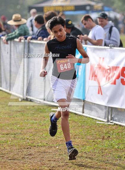 Thumbnail 1 in CIF Central Section Cross Country Championships (Boys D4 Race) photogallery.