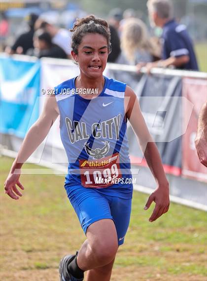Thumbnail 3 in CIF Central Section Cross Country Championships (Boys D4 Race) photogallery.