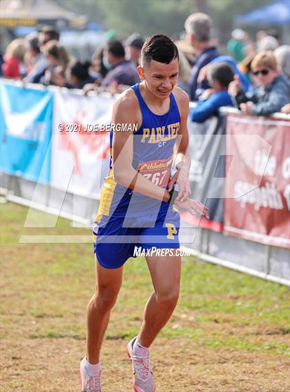 Thumbnail 3 in CIF Central Section Cross Country Championships (Boys D4 Race) photogallery.
