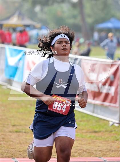 Thumbnail 3 in CIF Central Section Cross Country Championships (Boys D4 Race) photogallery.