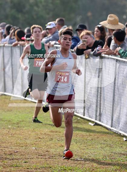 Thumbnail 3 in CIF Central Section Cross Country Championships (Boys D4 Race) photogallery.