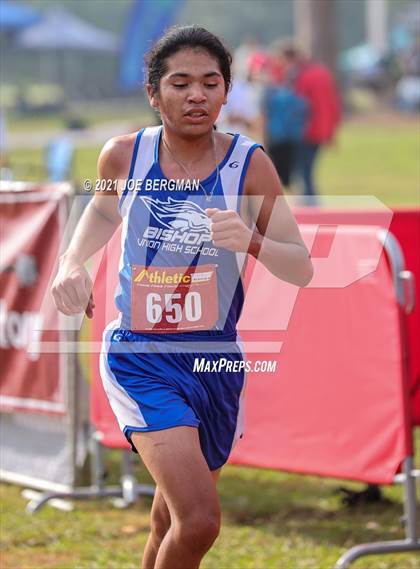 Thumbnail 1 in CIF Central Section Cross Country Championships (Boys D4 Race) photogallery.