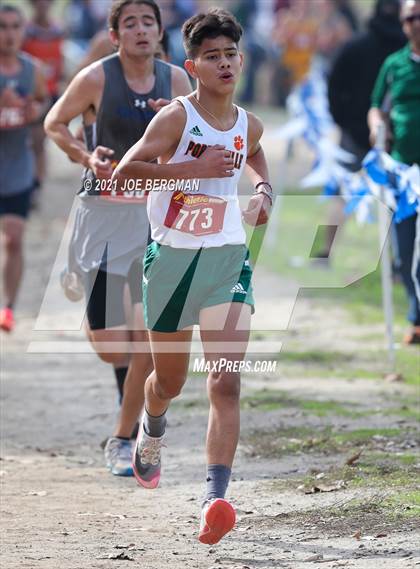 Thumbnail 2 in CIF Central Section Cross Country Championships (Boys D4 Race) photogallery.