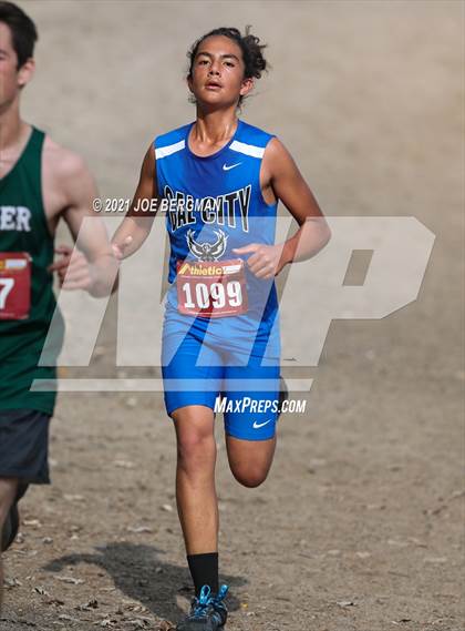 Thumbnail 3 in CIF Central Section Cross Country Championships (Boys D4 Race) photogallery.