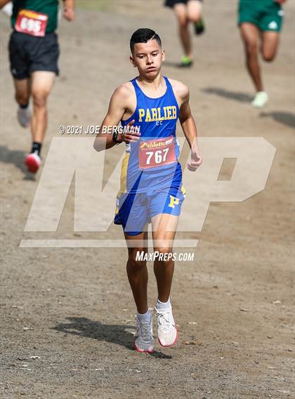 Thumbnail 1 in CIF Central Section Cross Country Championships (Boys D4 Race) photogallery.