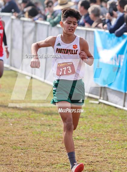 Thumbnail 3 in CIF Central Section Cross Country Championships (Boys D4 Race) photogallery.