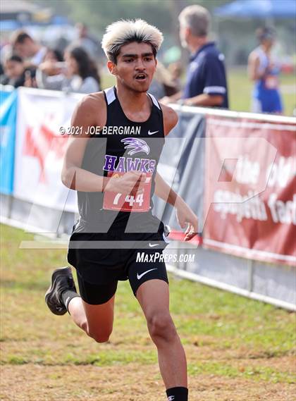 Thumbnail 3 in CIF Central Section Cross Country Championships (Boys D4 Race) photogallery.
