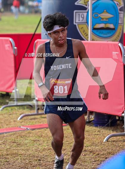 Thumbnail 1 in CIF Central Section Cross Country Championships (Boys D4 Race) photogallery.