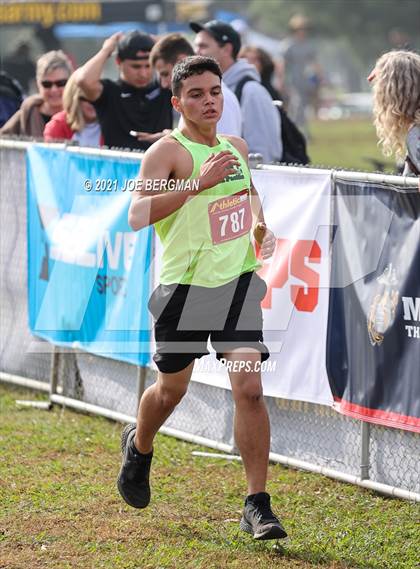 Thumbnail 3 in CIF Central Section Cross Country Championships (Boys D4 Race) photogallery.