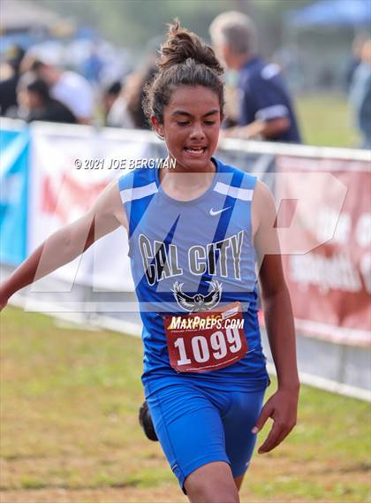 Thumbnail 1 in CIF Central Section Cross Country Championships (Boys D4 Race) photogallery.