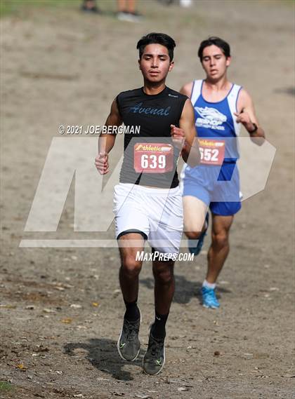 Thumbnail 1 in CIF Central Section Cross Country Championships (Boys D4 Race) photogallery.