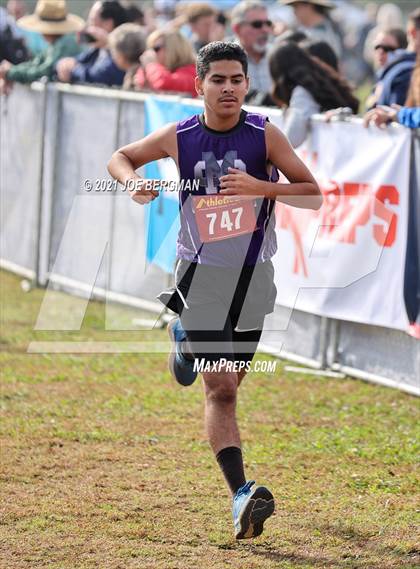 Thumbnail 2 in CIF Central Section Cross Country Championships (Boys D4 Race) photogallery.