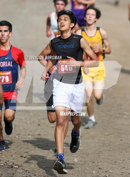 Thumbnail 2 in CIF Central Section Cross Country Championships (Boys D4 Race) photogallery.