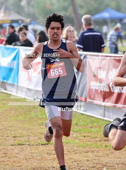 Thumbnail 1 in CIF Central Section Cross Country Championships (Boys D4 Race) photogallery.