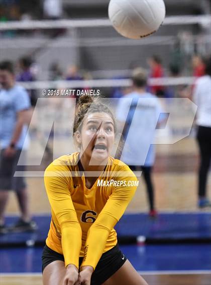Thumbnail 1 in Windsor vs. Cherry Creek (CHSAA 5A Playoff) photogallery.