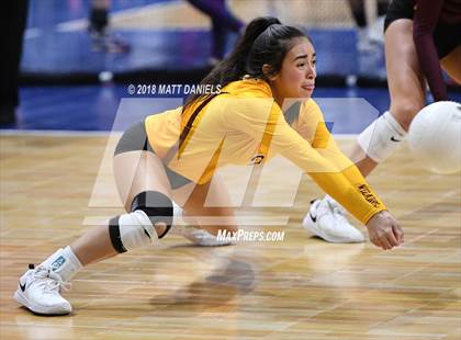 Thumbnail 2 in Windsor vs. Cherry Creek (CHSAA 5A Playoff) photogallery.