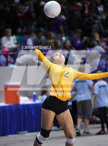 Thumbnail 1 in Windsor vs. Cherry Creek (CHSAA 5A Playoff) photogallery.