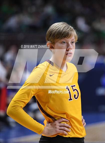 Thumbnail 1 in Windsor vs. Cherry Creek (CHSAA 5A Playoff) photogallery.