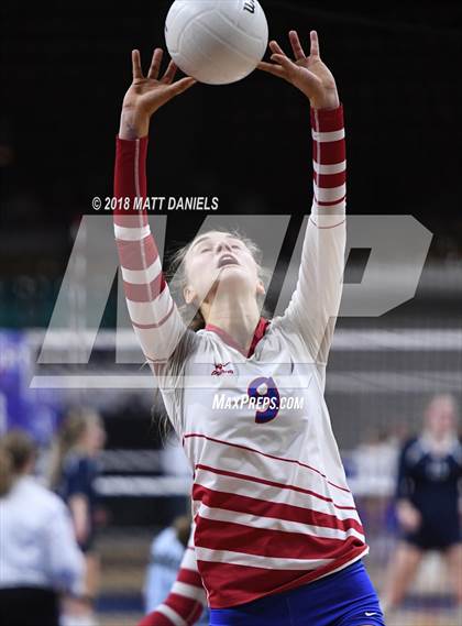 Thumbnail 2 in Windsor vs. Cherry Creek (CHSAA 5A Playoff) photogallery.