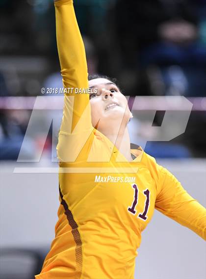Thumbnail 1 in Windsor vs. Cherry Creek (CHSAA 5A Playoff) photogallery.