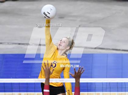 Thumbnail 1 in Windsor vs. Cherry Creek (CHSAA 5A Playoff) photogallery.
