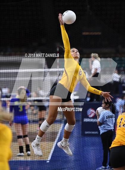 Thumbnail 1 in Windsor vs. Cherry Creek (CHSAA 5A Playoff) photogallery.