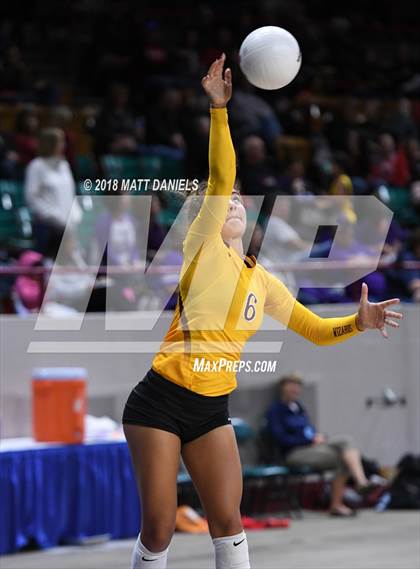 Thumbnail 1 in Windsor vs. Cherry Creek (CHSAA 5A Playoff) photogallery.