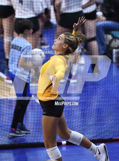 null - Photo 01