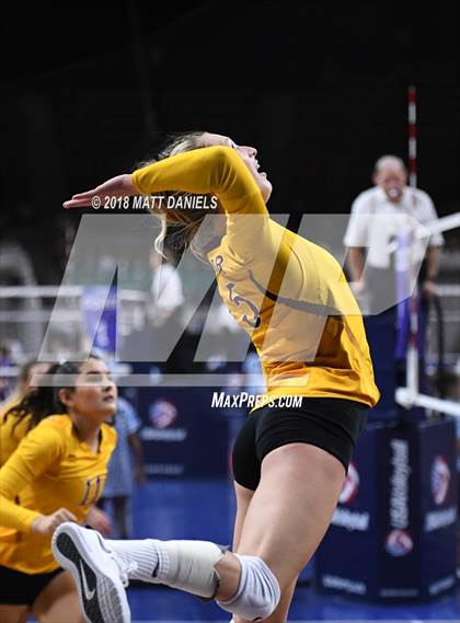 Thumbnail 1 in Windsor vs. Cherry Creek (CHSAA 5A Playoff) photogallery.