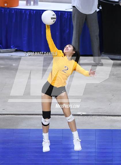 Thumbnail 3 in Windsor vs. Cherry Creek (CHSAA 5A Playoff) photogallery.