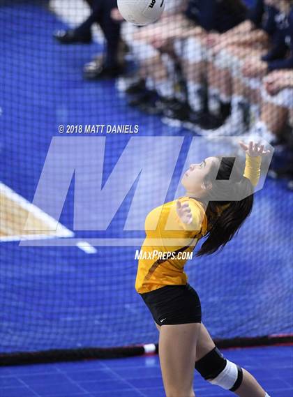 Thumbnail 1 in Windsor vs. Cherry Creek (CHSAA 5A Playoff) photogallery.